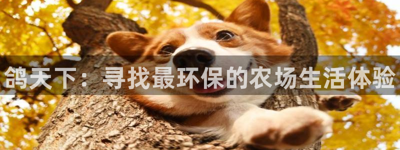 天辰娱乐官网平台下载